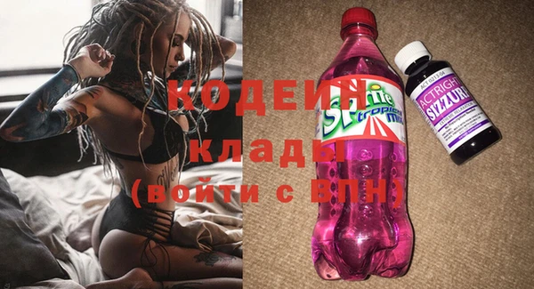 дурь Гусиноозёрск