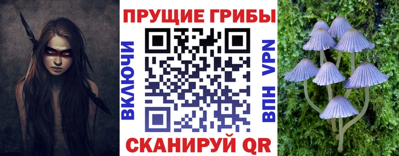 Псилоцибиновые грибы Psilocybe  omg вход  Сосновоборск 